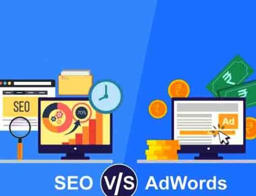 Attività Seo e Google Ads