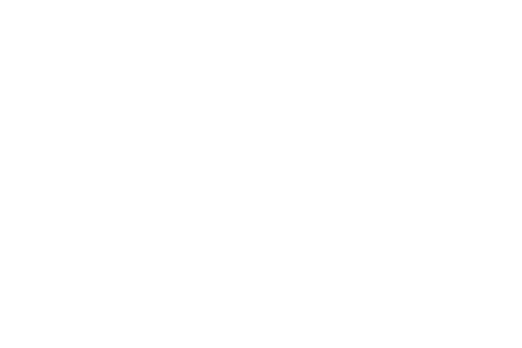 logo-bianco